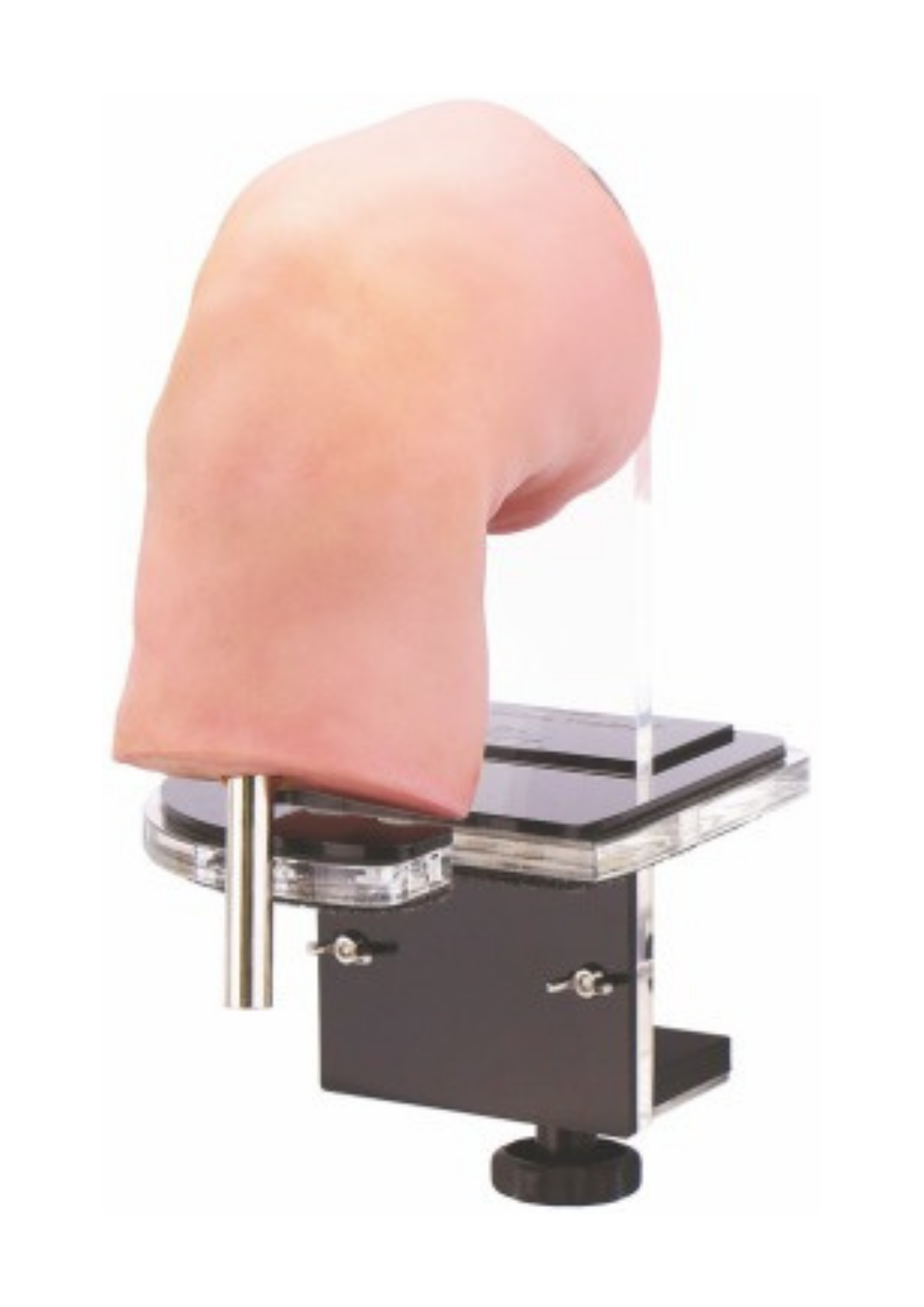 Knee Trainer Portable Simulator for Arthroscopy