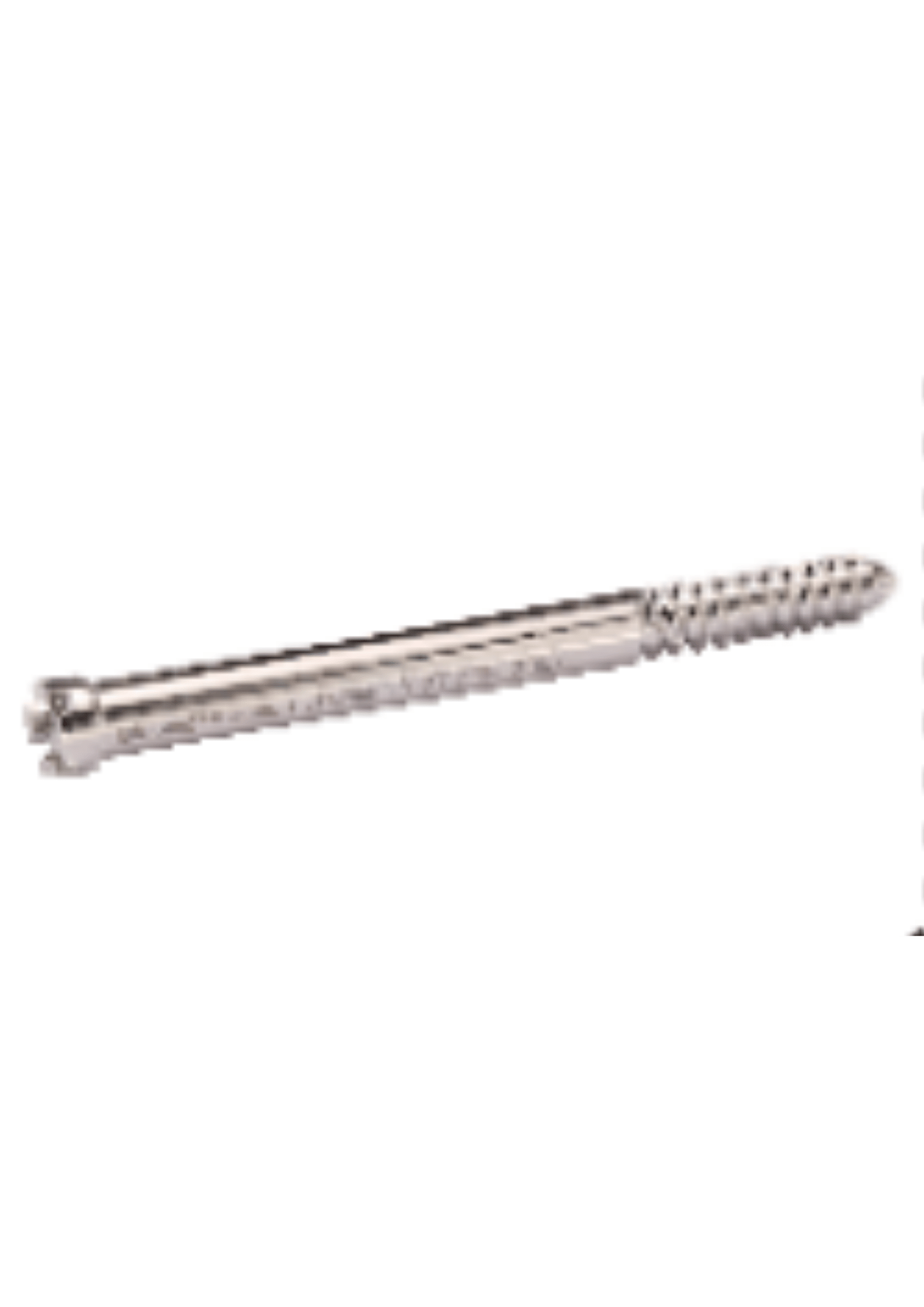 PFN Bolt Cannulated 8mm