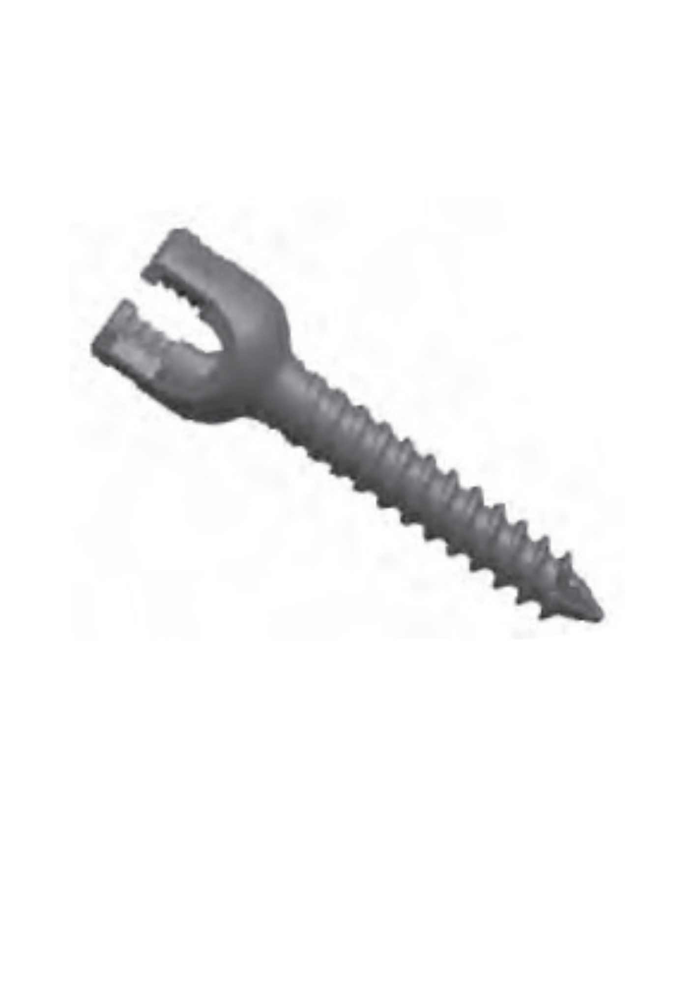 Mono Axial Screw (DLX)