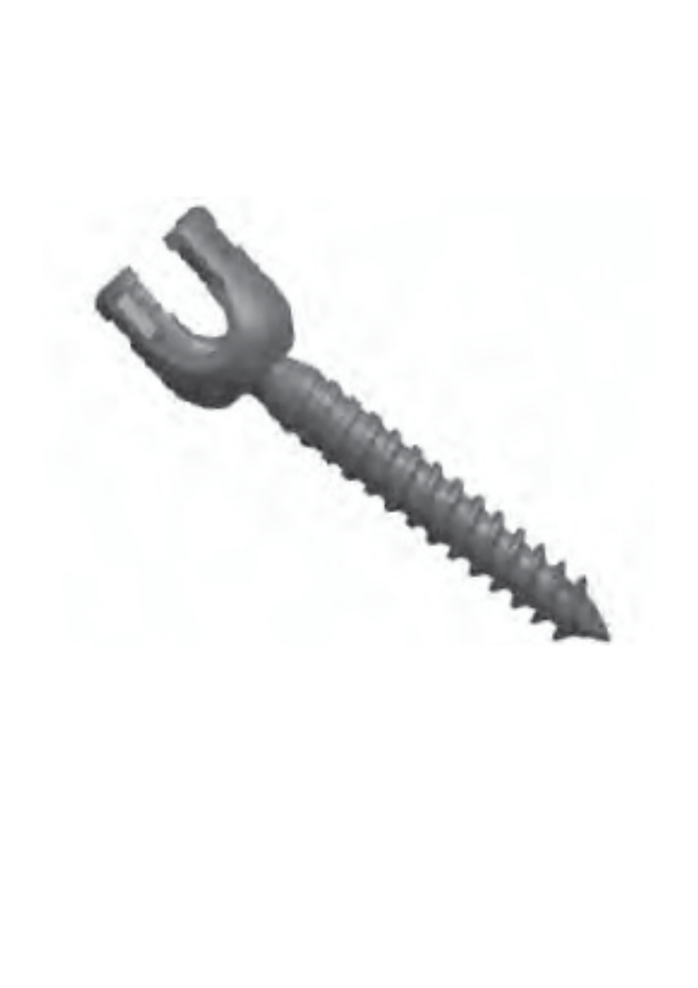 Poly Axial Screw (DLX)